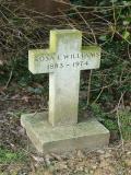 image number Williams Rosa E   574